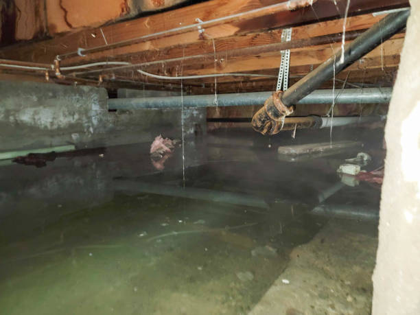 Best Flood damage cleanup  in Oakland, SC