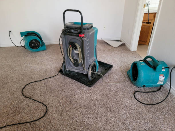 Best Sewage cleanup and water damage restoration  in Oakland, SC