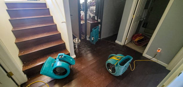 Best 24-hour water damage restoration  in Oakland, SC