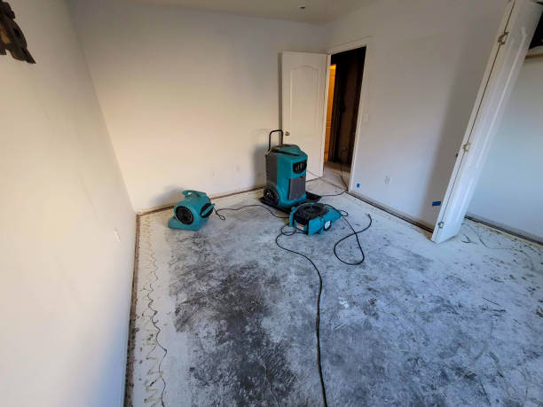 Best Flood damage cleanup  in Oakland, SC