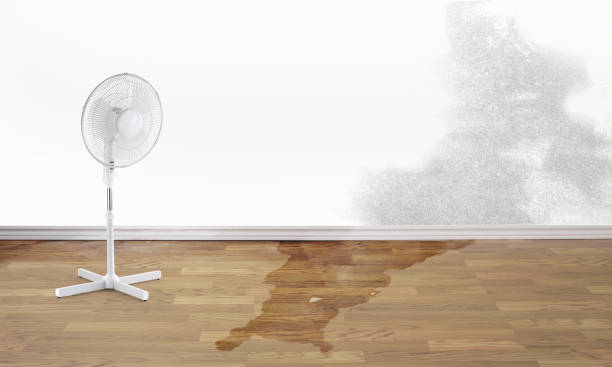 Best Flood restoration services  in Oakland, SC