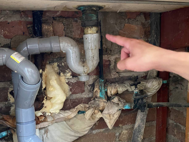 Best Mold removal after water damage  in Oakland, SC