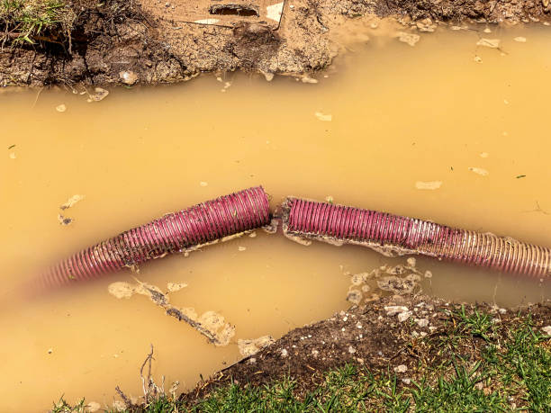 Best Emergency water damage restoration  in Oakland, SC