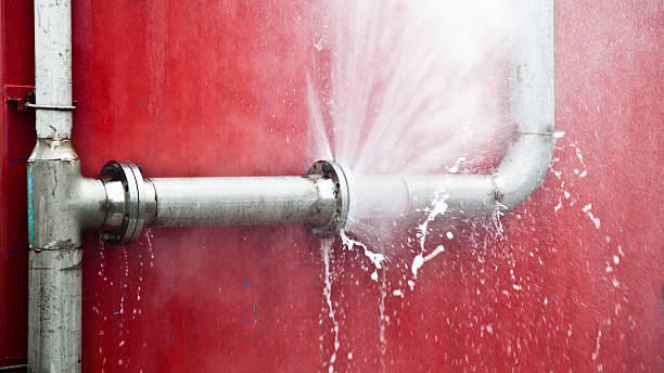 Best Basement water damage restoration  in Oakland, SC